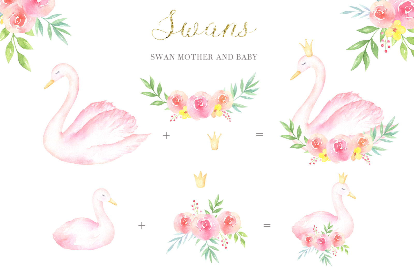 Swans Watercolor Collection Swans Watercolor Collection