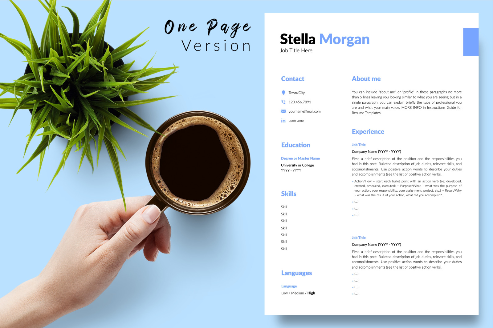 Simple Resume Template for Microsoft Word &amp; Apple Pages // Stella Morgan CV Design Template