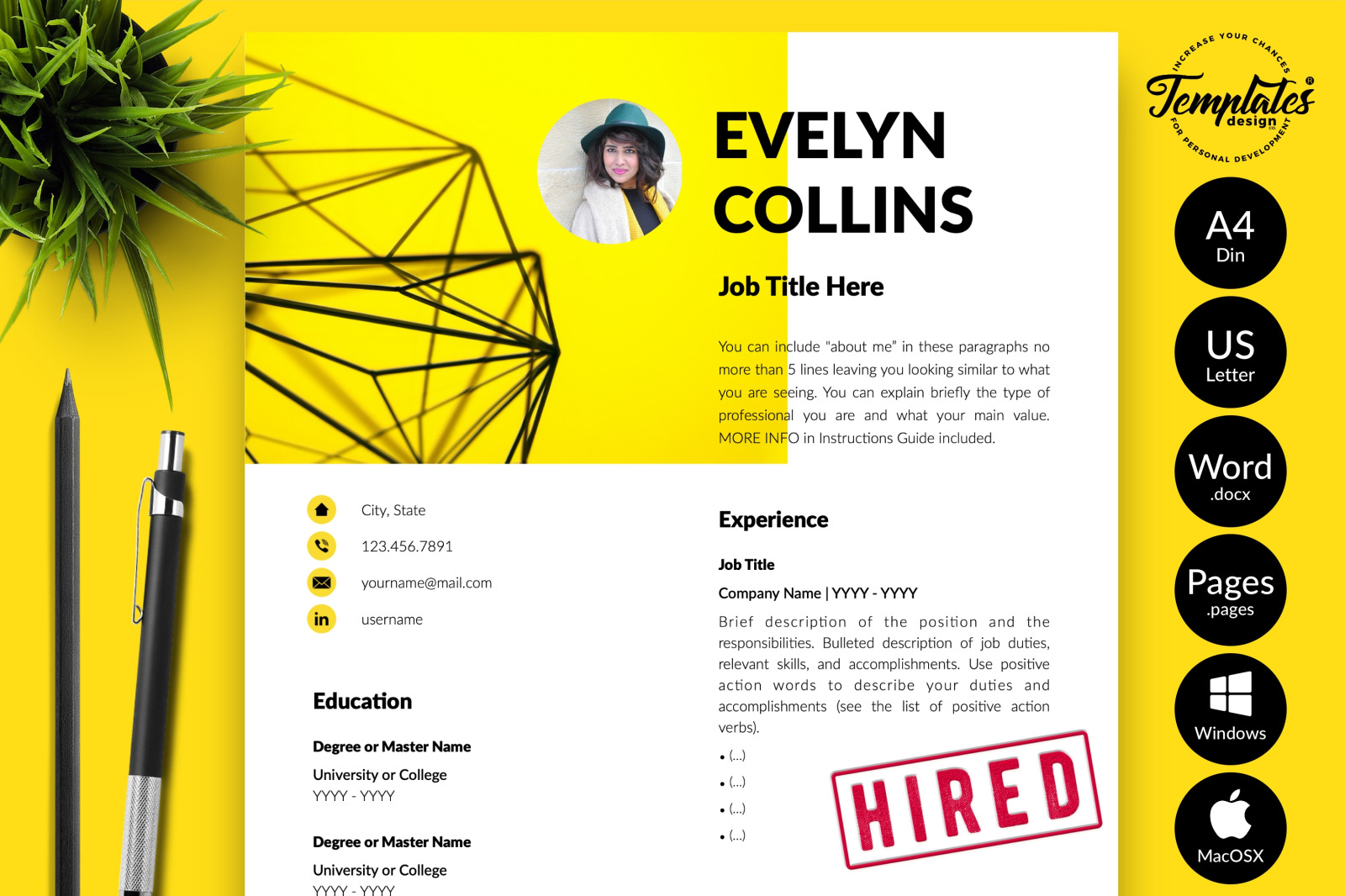 Modern Resume Template for Microsoft Word &amp; Apple Pages // Evelyn Collins CV Design Template