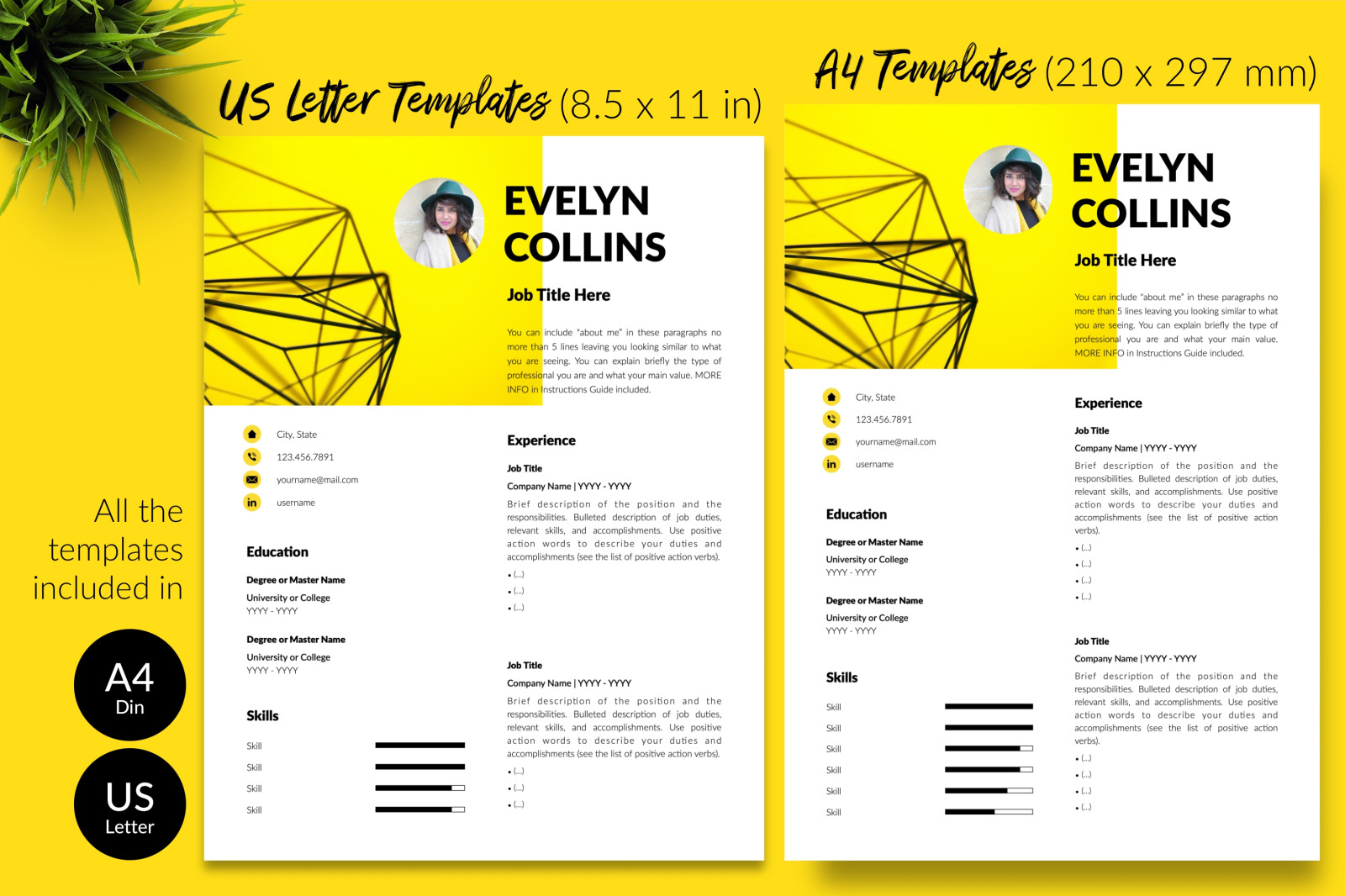 Modern Resume Template for Microsoft Word &amp; Apple Pages // Evelyn Collins CV Design Template