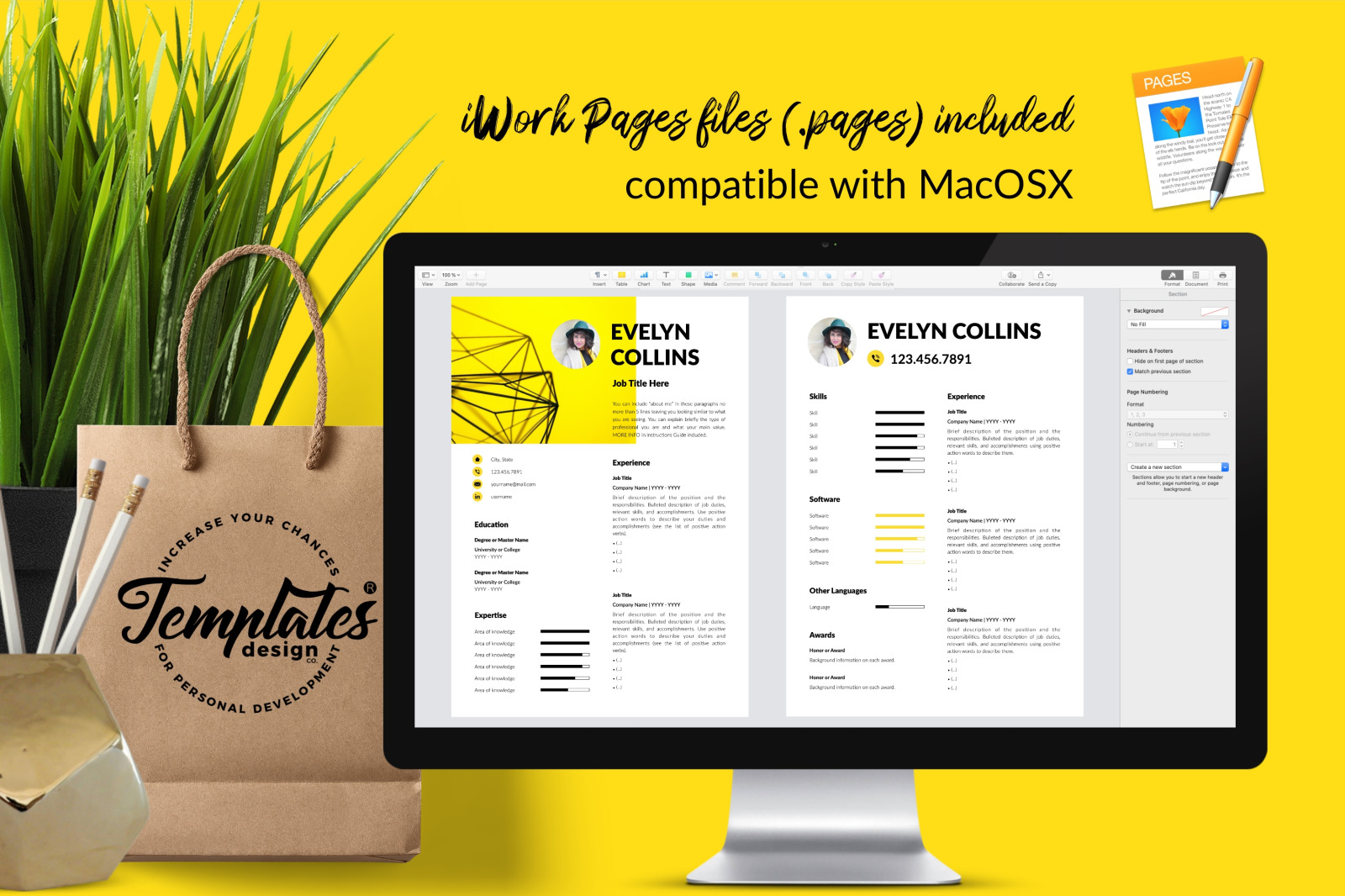 Modern Resume Template for Microsoft Word &amp; Apple Pages // Evelyn Collins CV Design Template