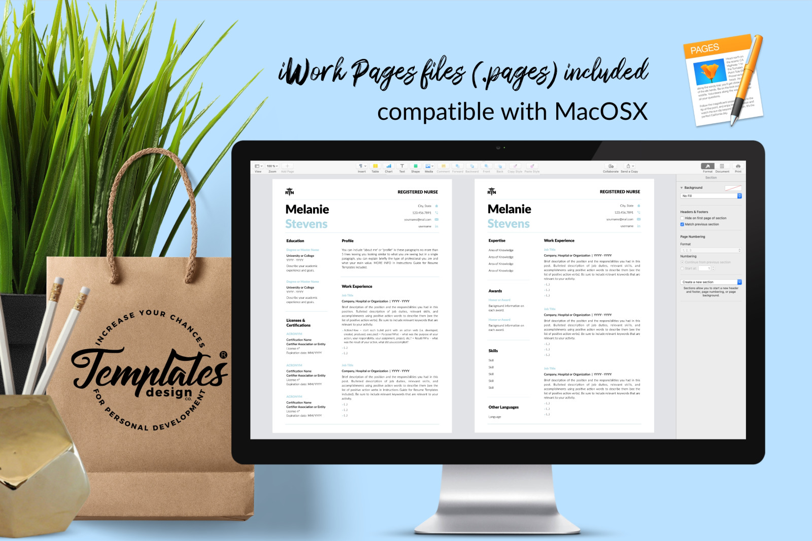 Nurse Resume Template for Microsoft Word &amp; Apple Pages // Melanie Stevens CV Design Template