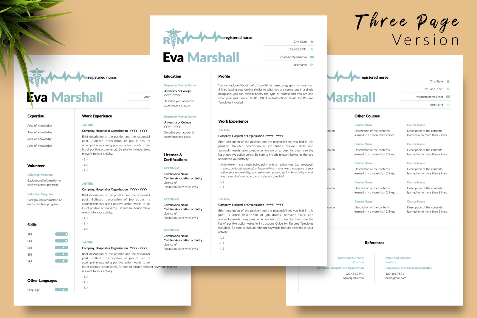 Nurse Resume Template for Microsoft Word &amp; Apple Pages // Eva Marshall CV Design Template