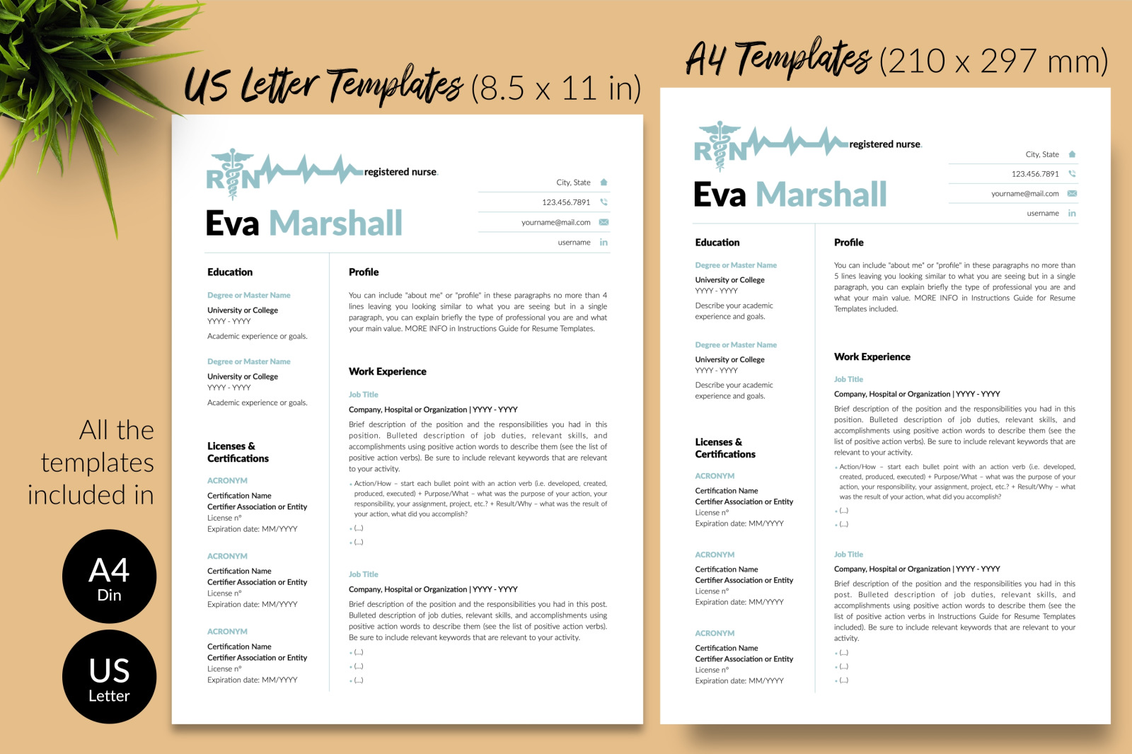 Nurse Resume Template for Microsoft Word &amp; Apple Pages // Eva Marshall CV Design Template