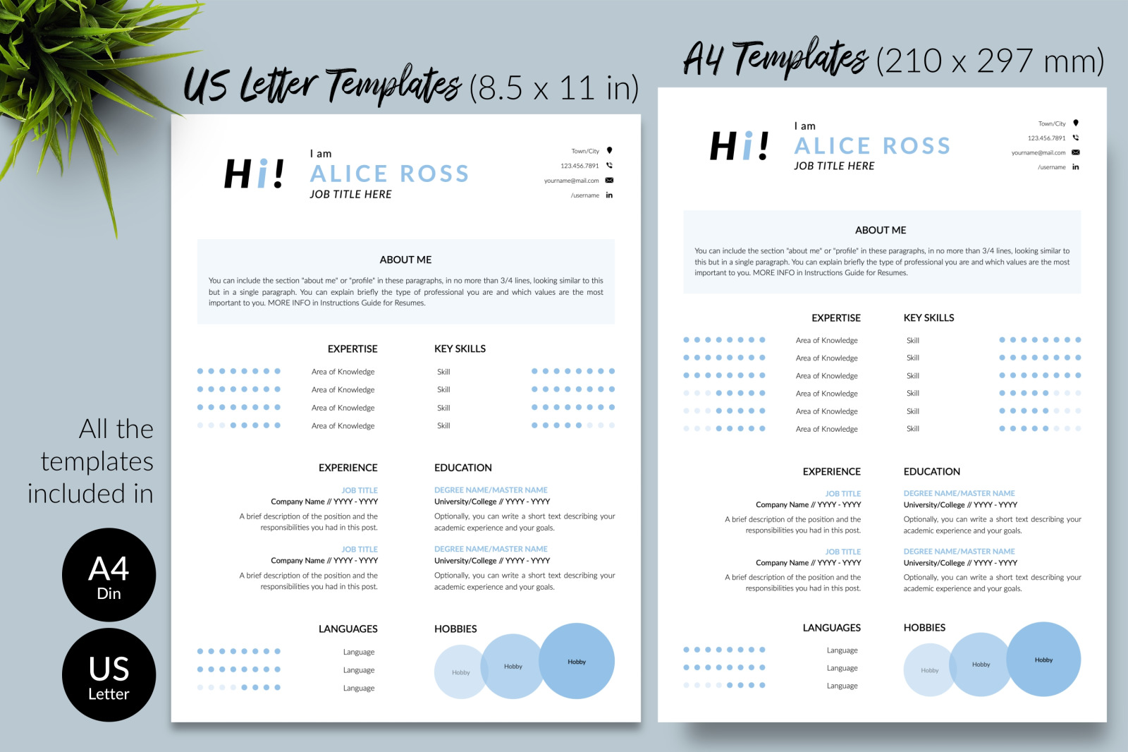 Creative Resume Template for Microsoft Word &amp; Apple Pages // Alice Ross CV Design Template