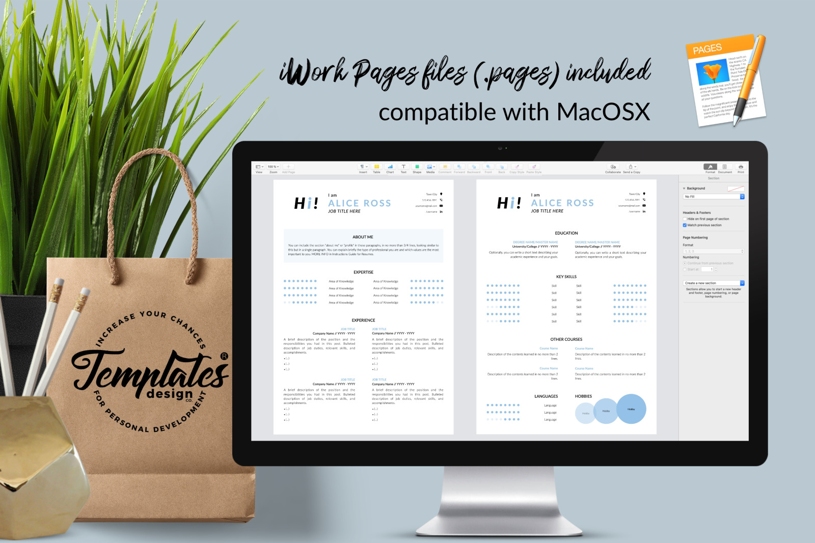 Creative Resume Template for Microsoft Word & Apple Pages // Alice Ross CV Design Template Creative Resume Template for Microsoft Word & Apple Pages // Alice Ross CV Design Template