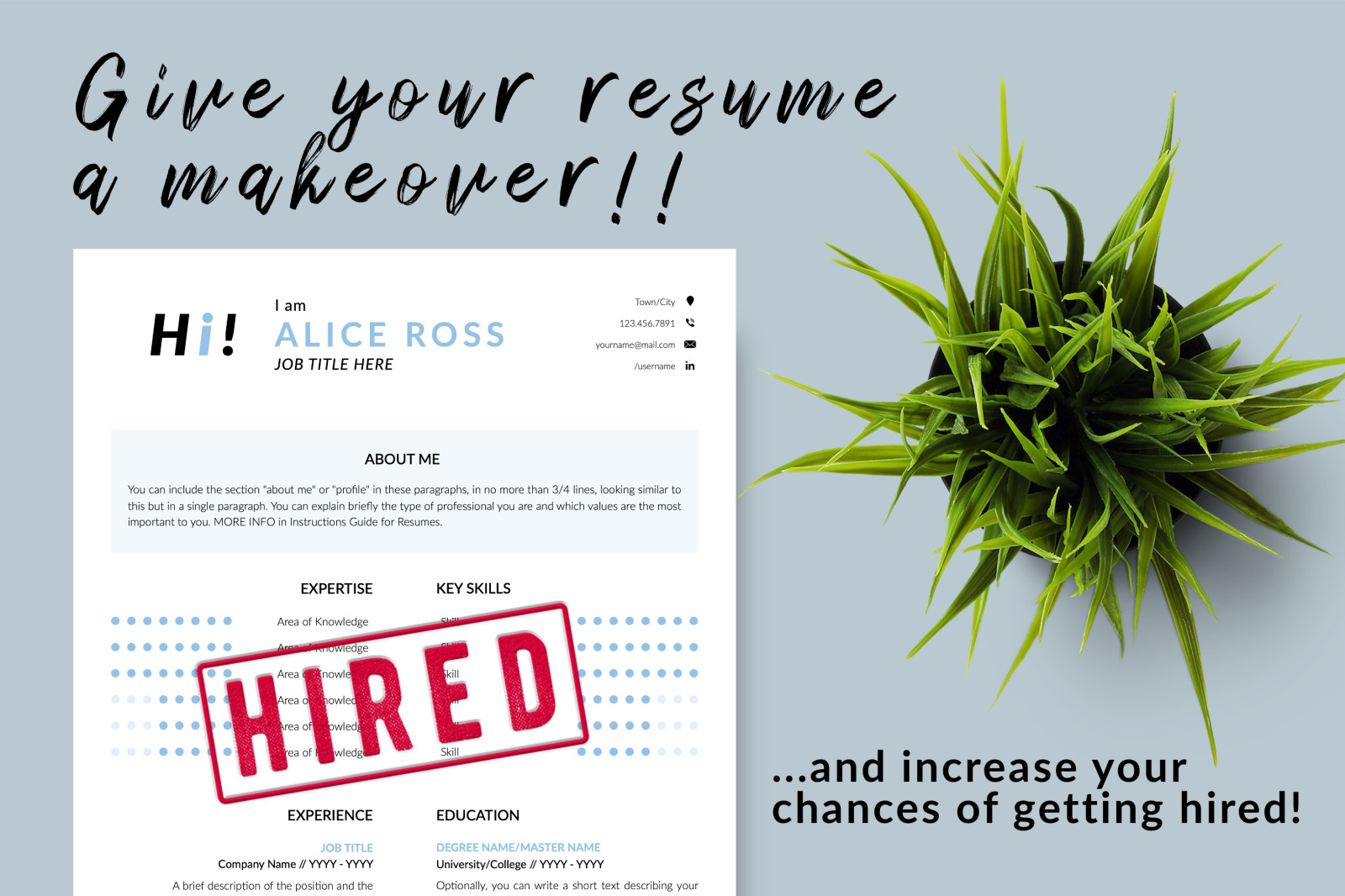 Creative Resume Template for Microsoft Word &amp; Apple Pages // Alice Ross CV Design Template