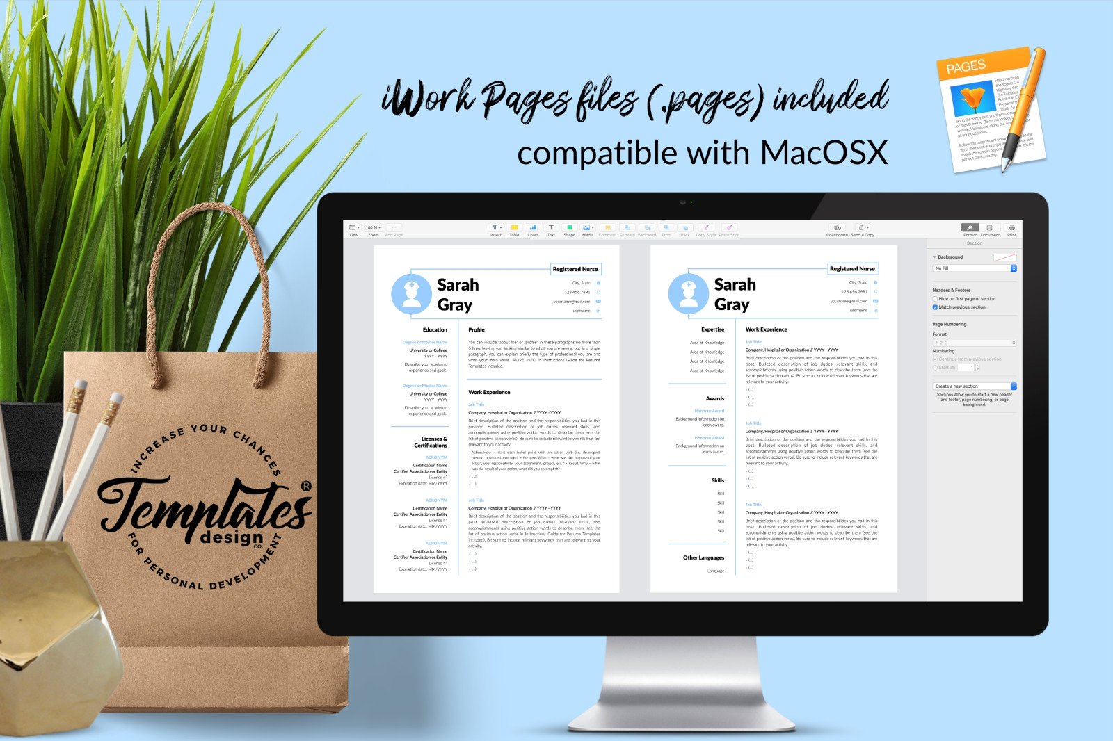 Nurse Resume Template for Microsoft Word &amp; Apple Pages // Sarah Gray CV Design Template