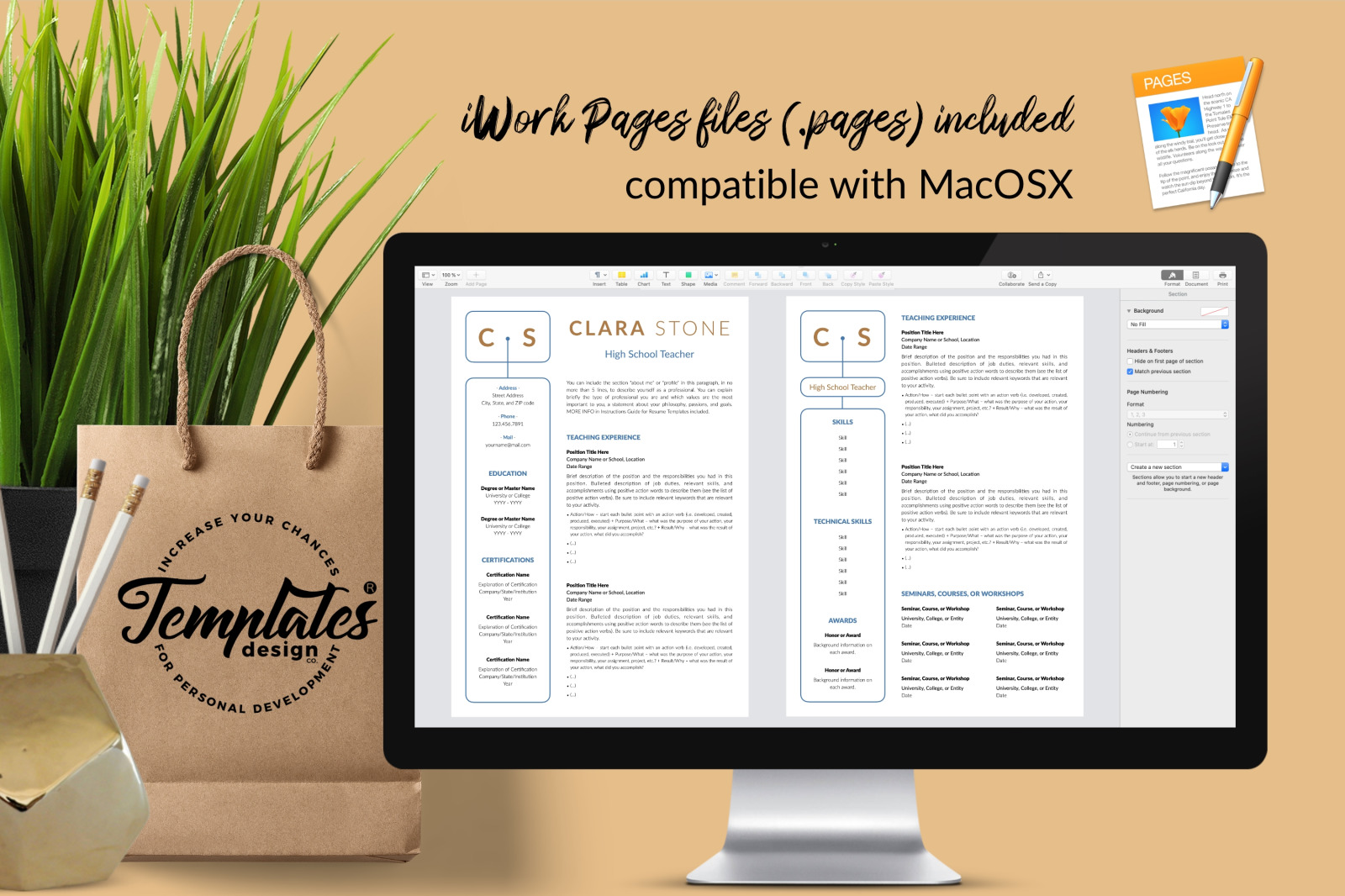 Teacher Resume Template for Microsoft Word &amp; Apple Pages // Clara Stone CV Design Template