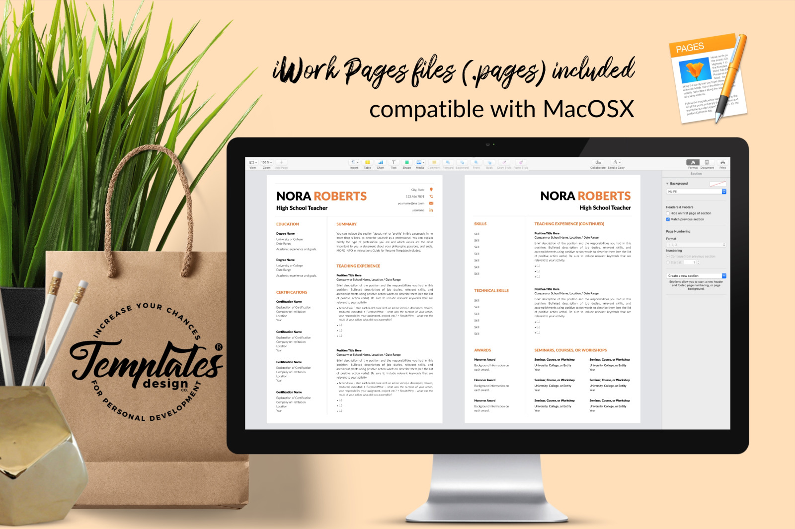 Teacher Resume Template for Microsoft Word &amp; Apple Pages // Nora Roberts CV Design Template