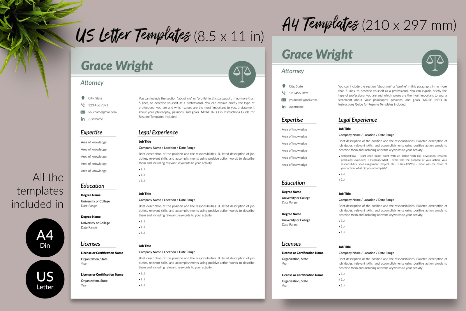 Legal Resume Template for Microsoft Word &amp; Apple Pages // Grace Wright CV Design Template