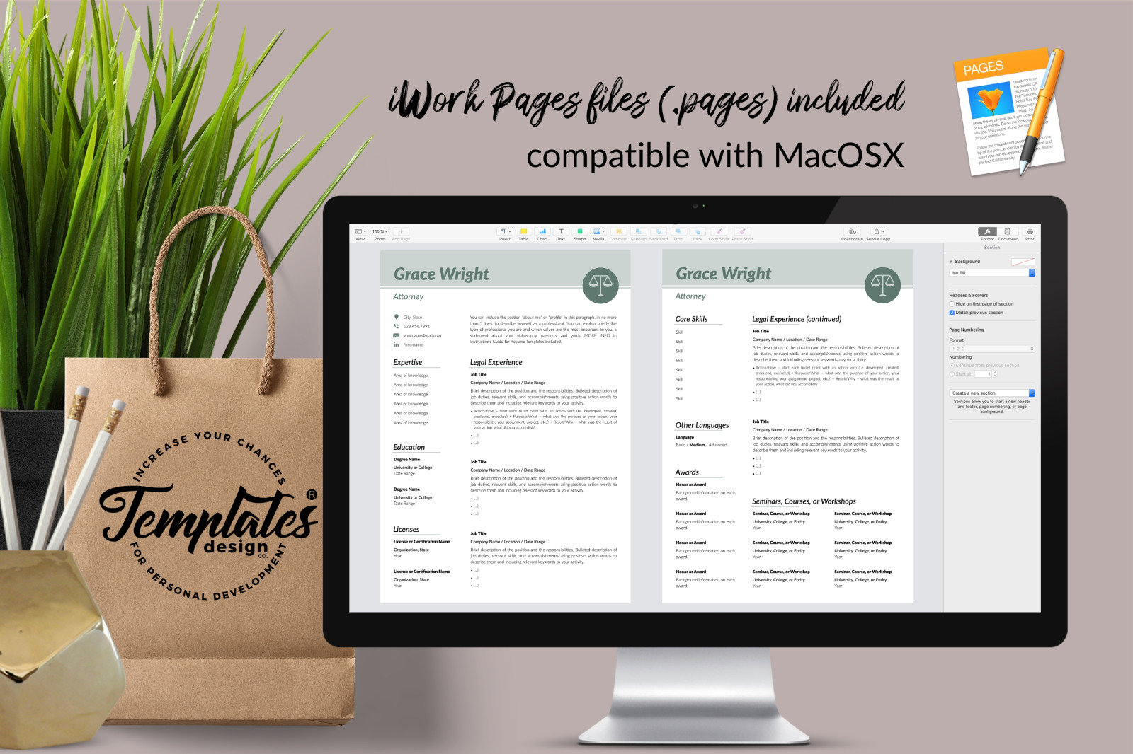 Legal Resume Template for Microsoft Word &amp; Apple Pages // Grace Wright CV Design Template