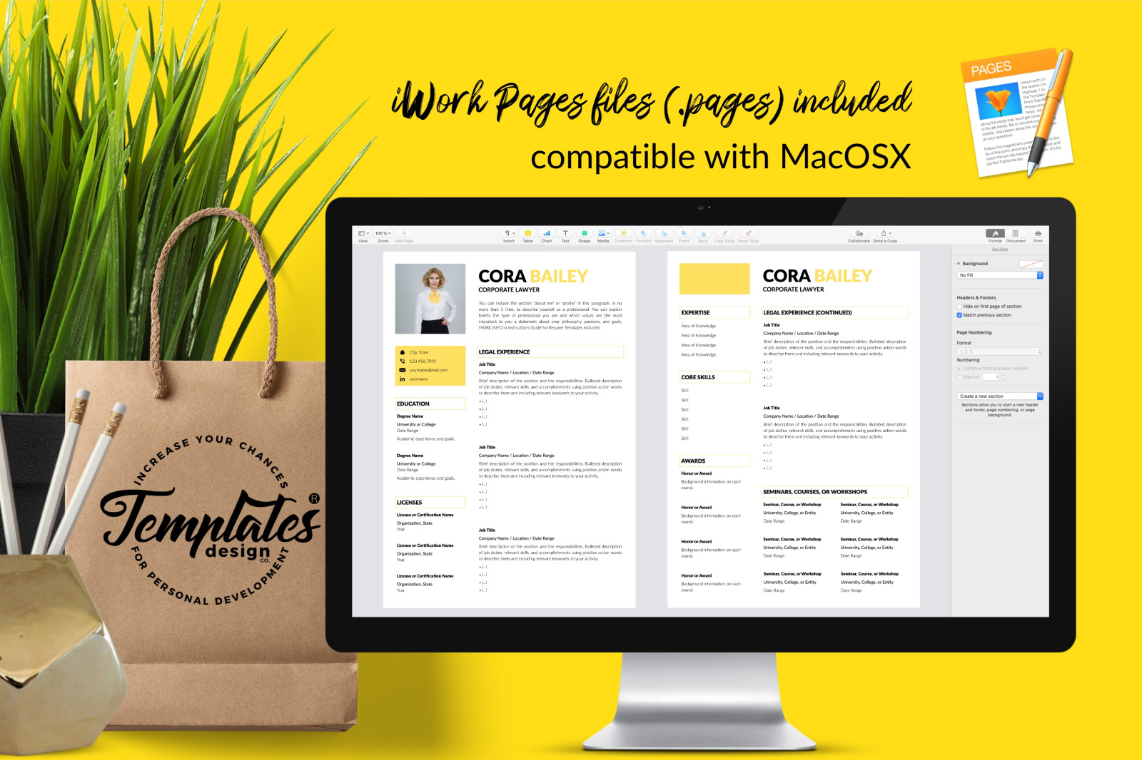 Legal Resume Template for Microsoft Word &amp; Apple Pages // Cora Bailey CV Design Template