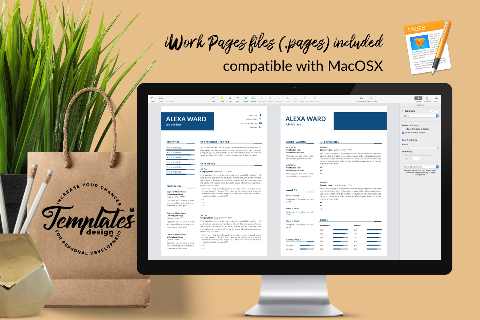 Simple Resume Template for Microsoft Word &amp; Apple Pages // Alexa Ward CV Design Template