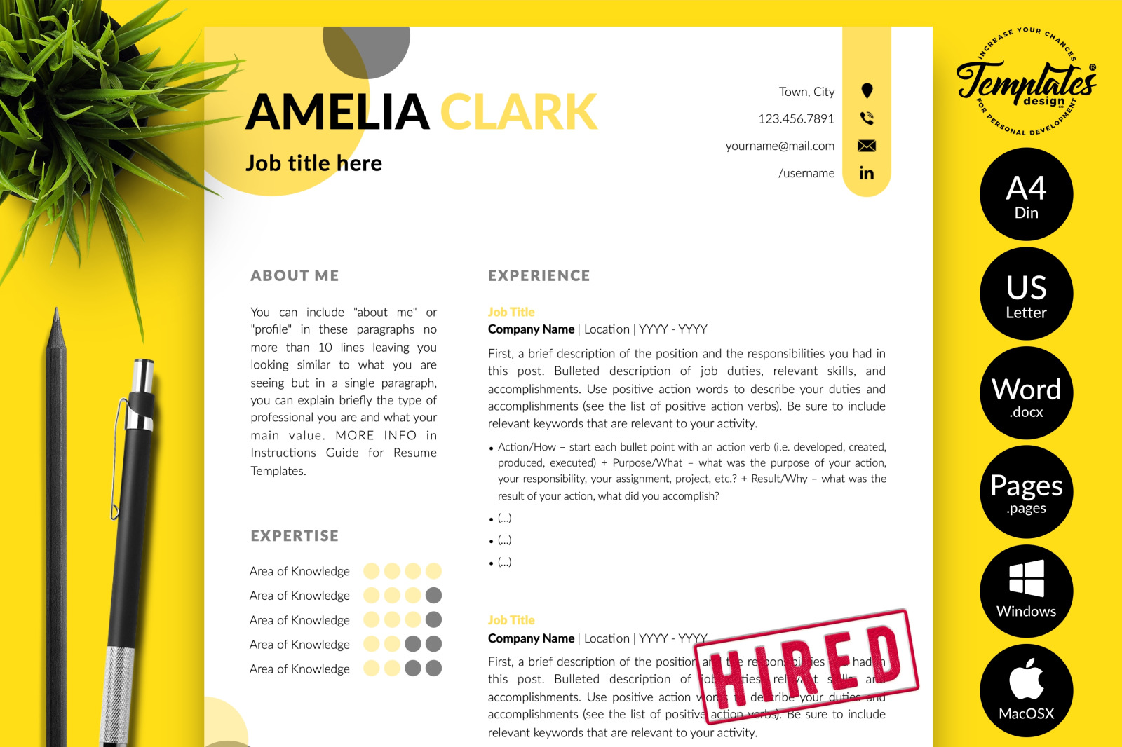 Creative Resume Template for Microsoft Word &amp; Apple Pages // Amelia Clark CV Design Template