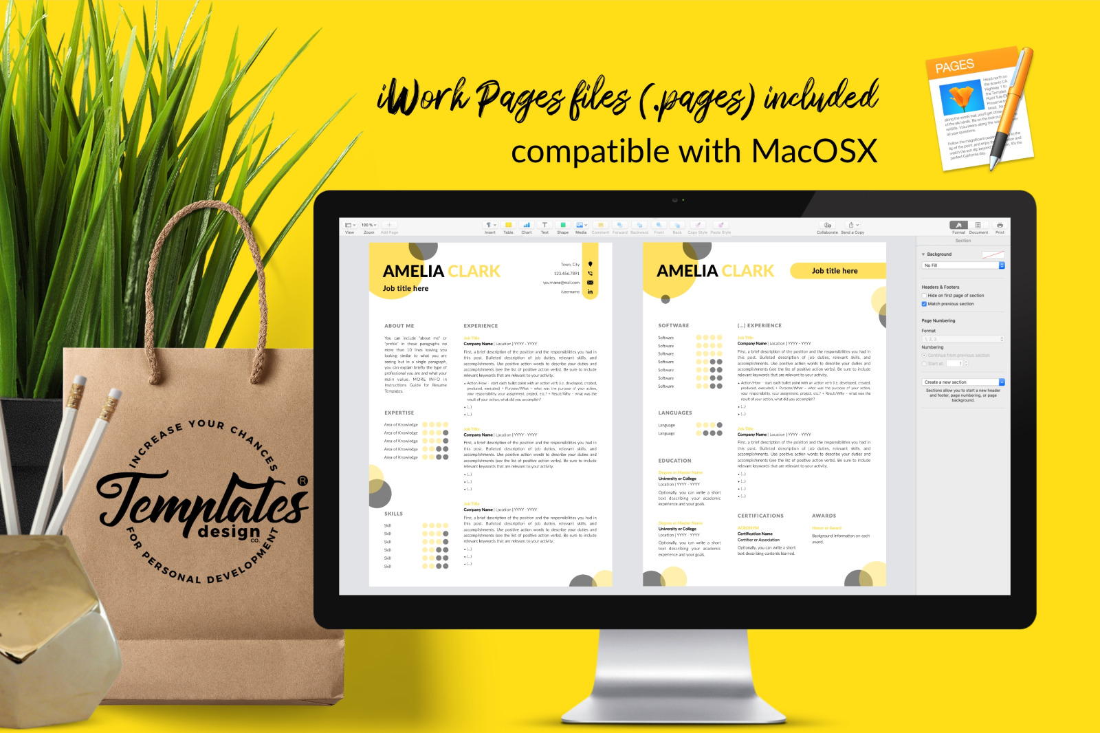 Creative Resume Template for Microsoft Word &amp; Apple Pages // Amelia Clark CV Design Template