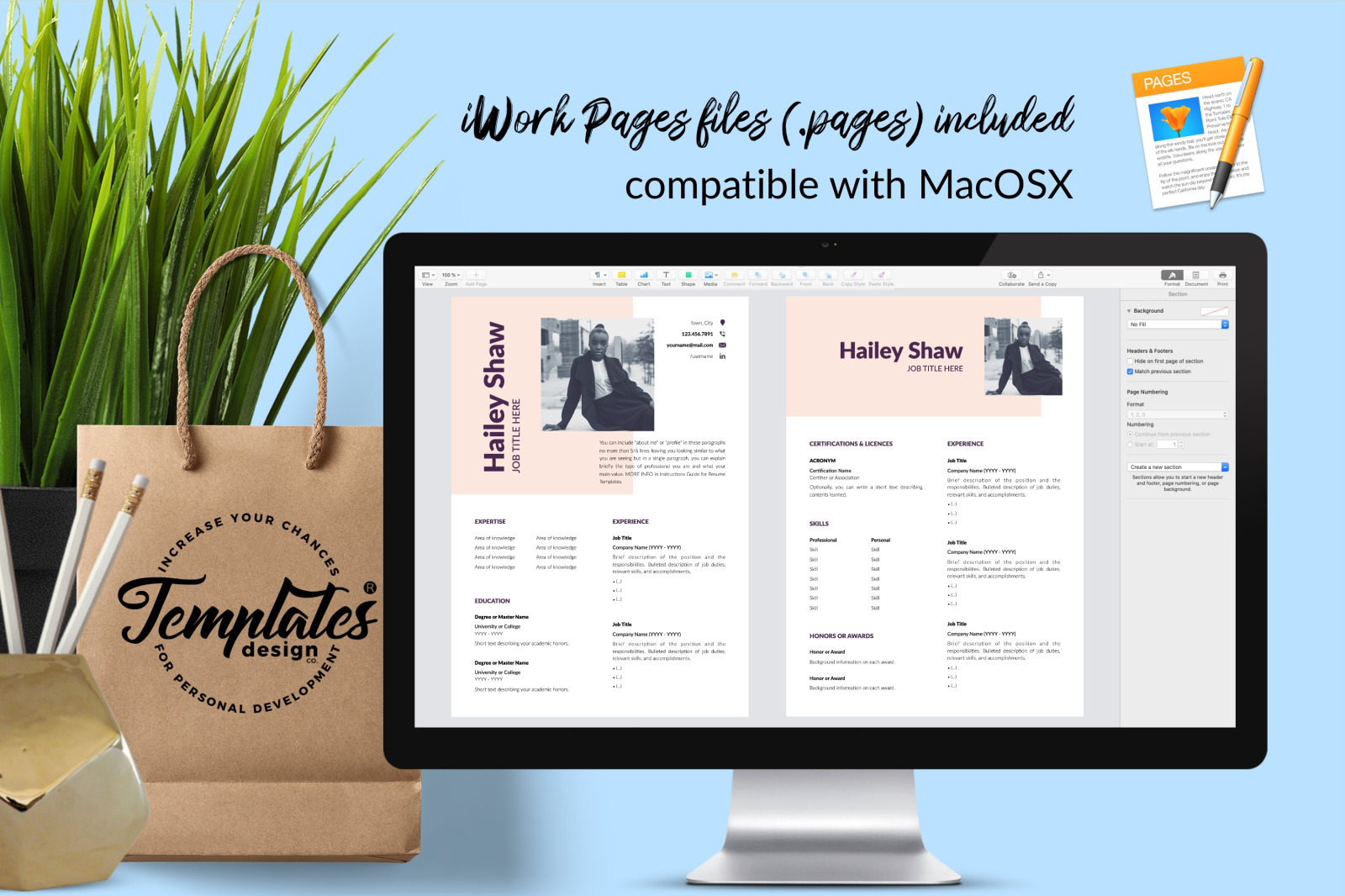 Modern Resume Template for Microsoft Word &amp; Apple Pages // Hailey Shaw CV Design Template