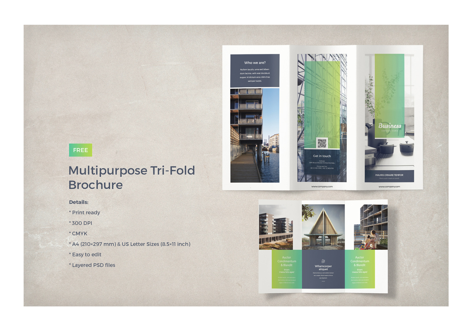 Multipurpose Business Brochure Multipurpose Business Brochure