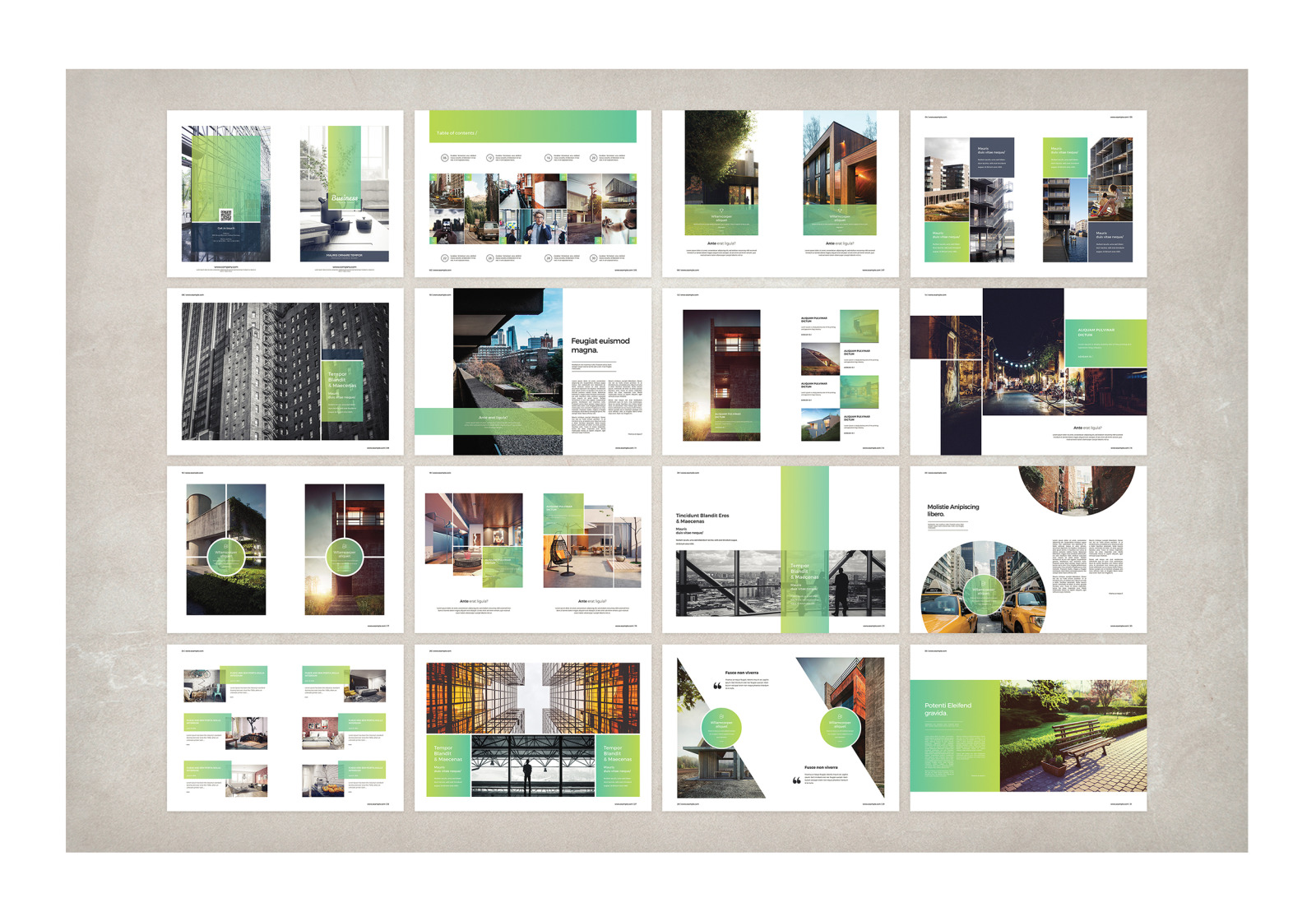 Multipurpose Business Brochure Multipurpose Business Brochure