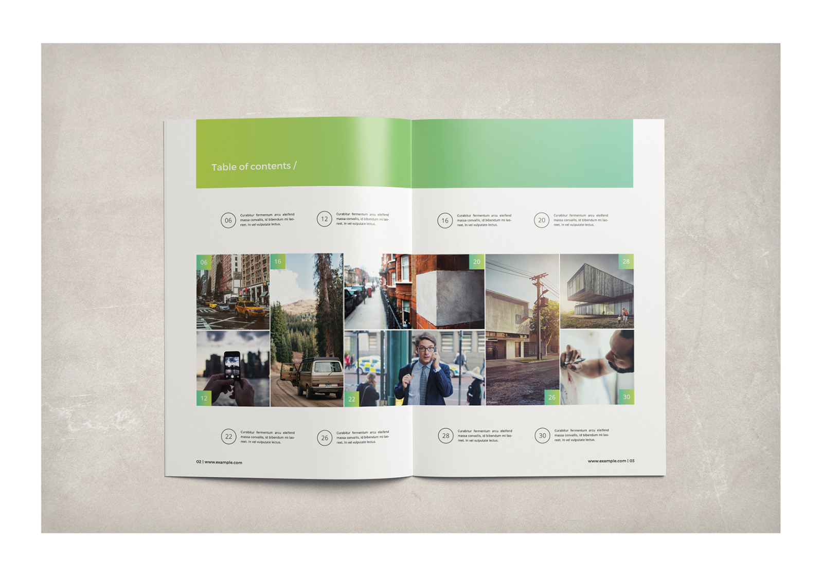 Multipurpose Business Brochure Multipurpose Business Brochure