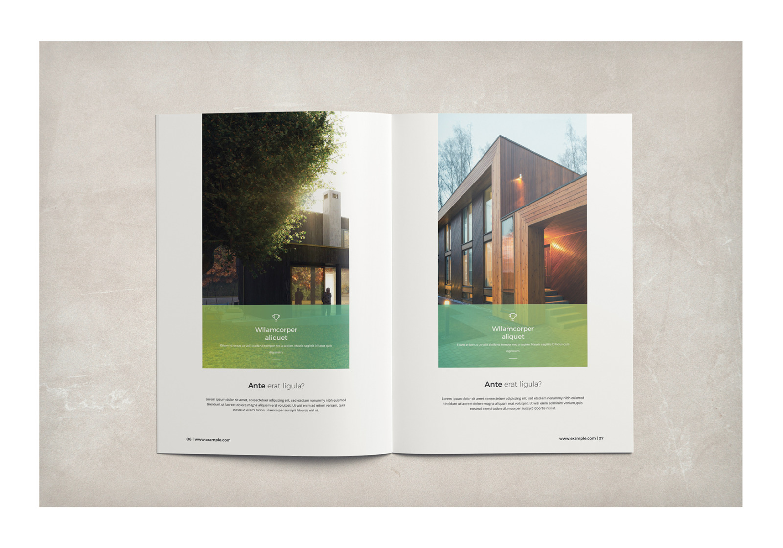 Multipurpose Business Brochure