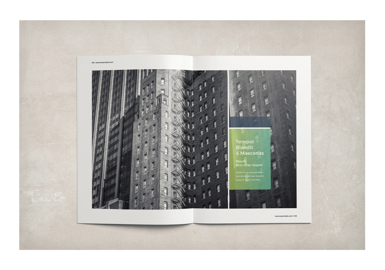 Multipurpose Business Brochure Multipurpose Business Brochure