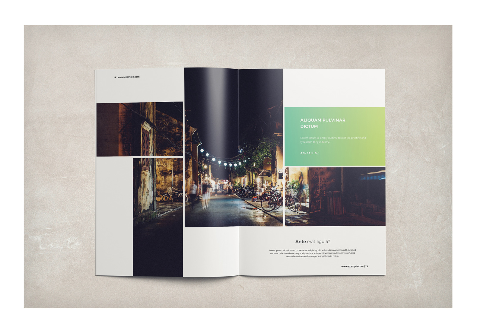 Multipurpose Business Brochure