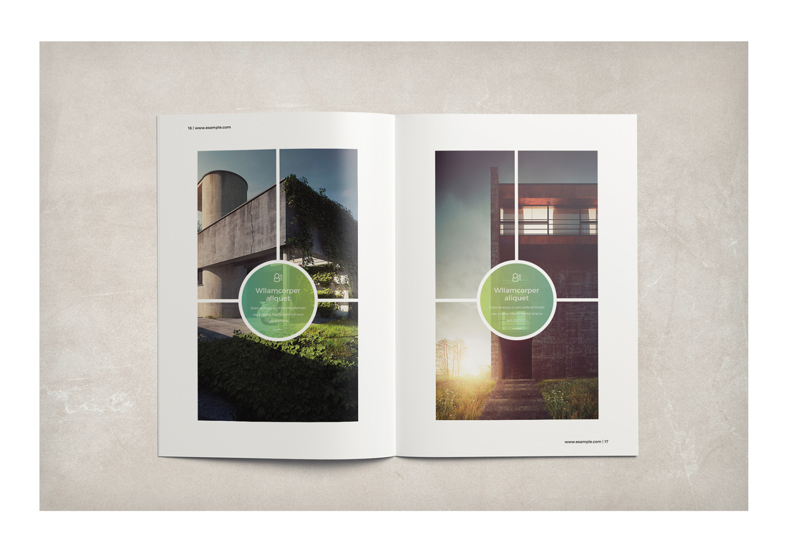 Multipurpose Business Brochure Multipurpose Business Brochure