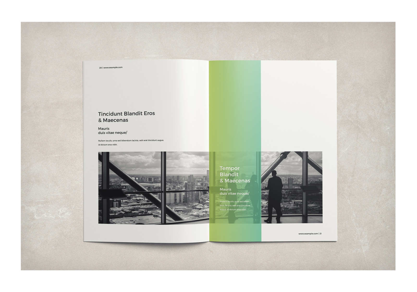 Multipurpose Business Brochure Multipurpose Business Brochure