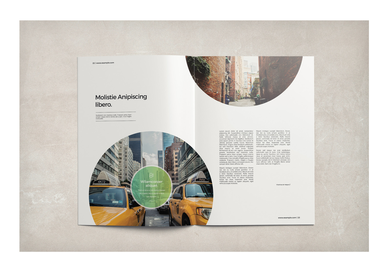 Multipurpose Business Brochure Multipurpose Business Brochure