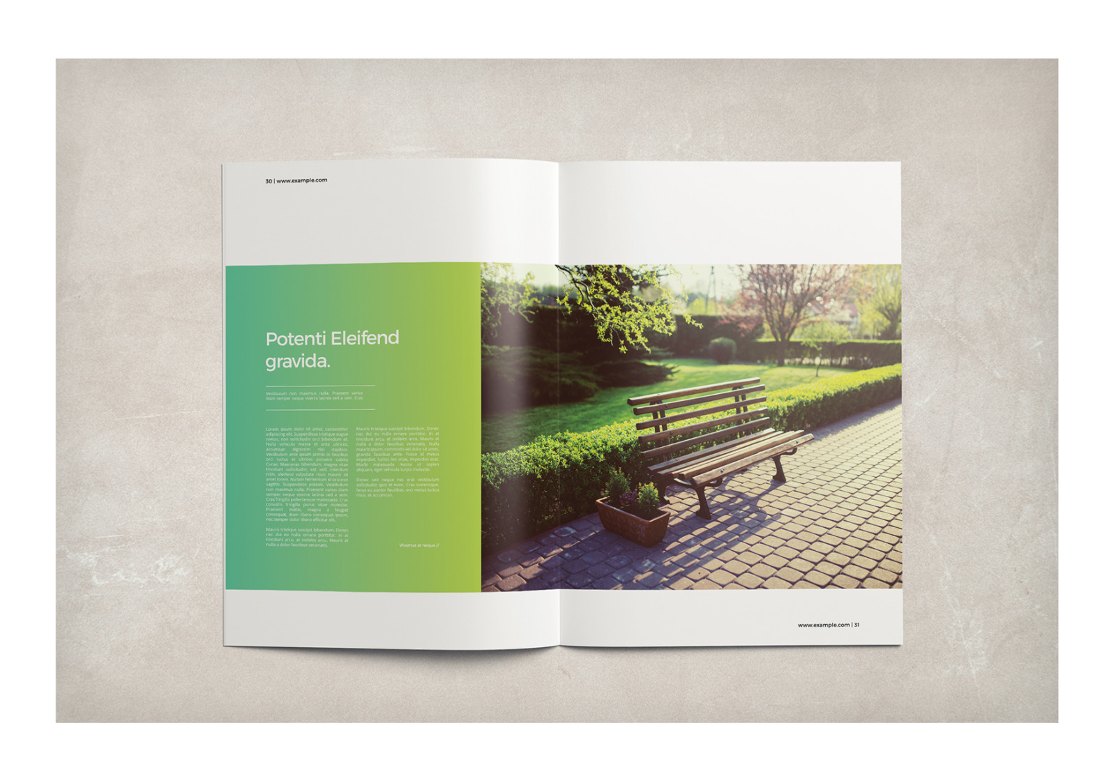 Multipurpose Business Brochure Multipurpose Business Brochure