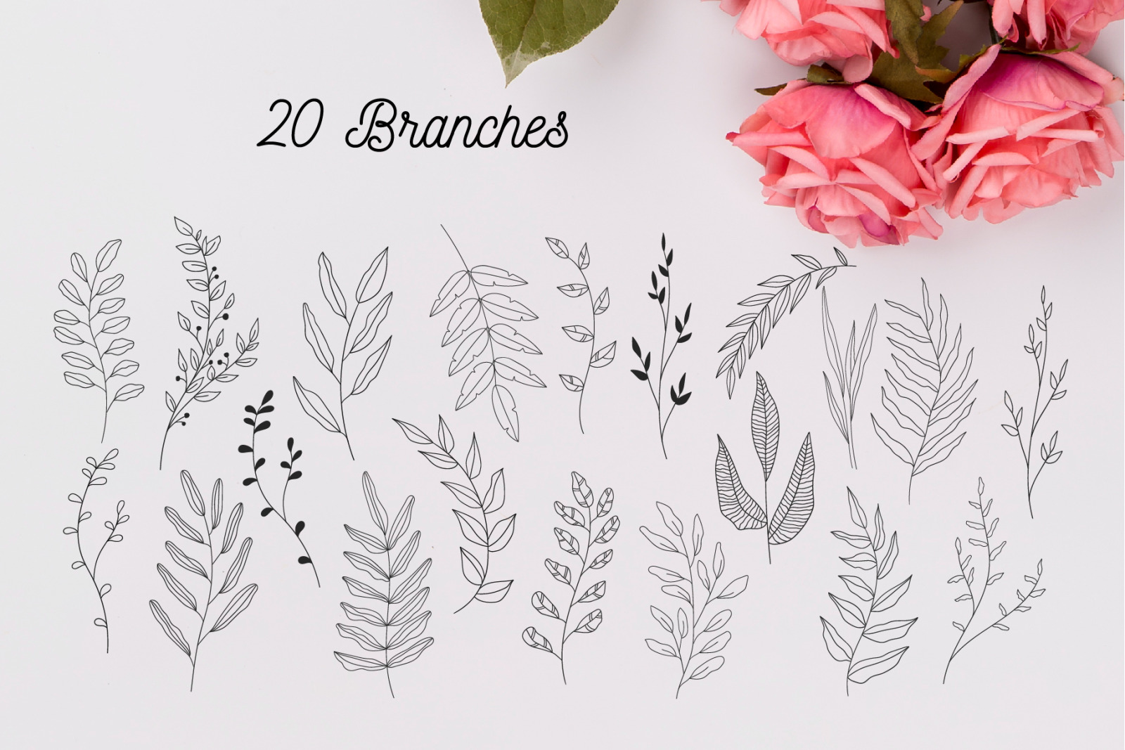 110 Hand-drawn botanical elements 110 Hand-drawn botanical elements
