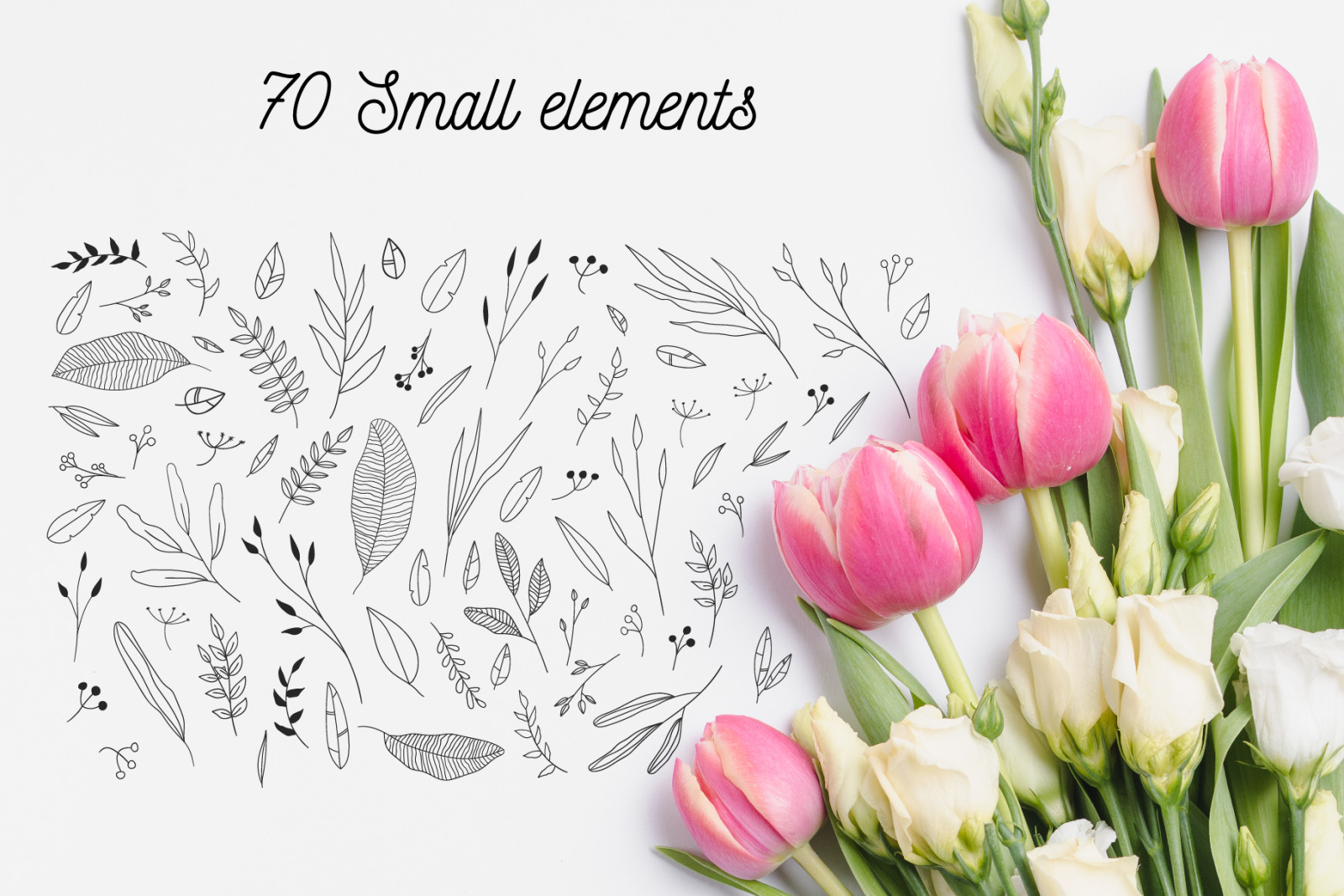 110 Hand-drawn botanical elements