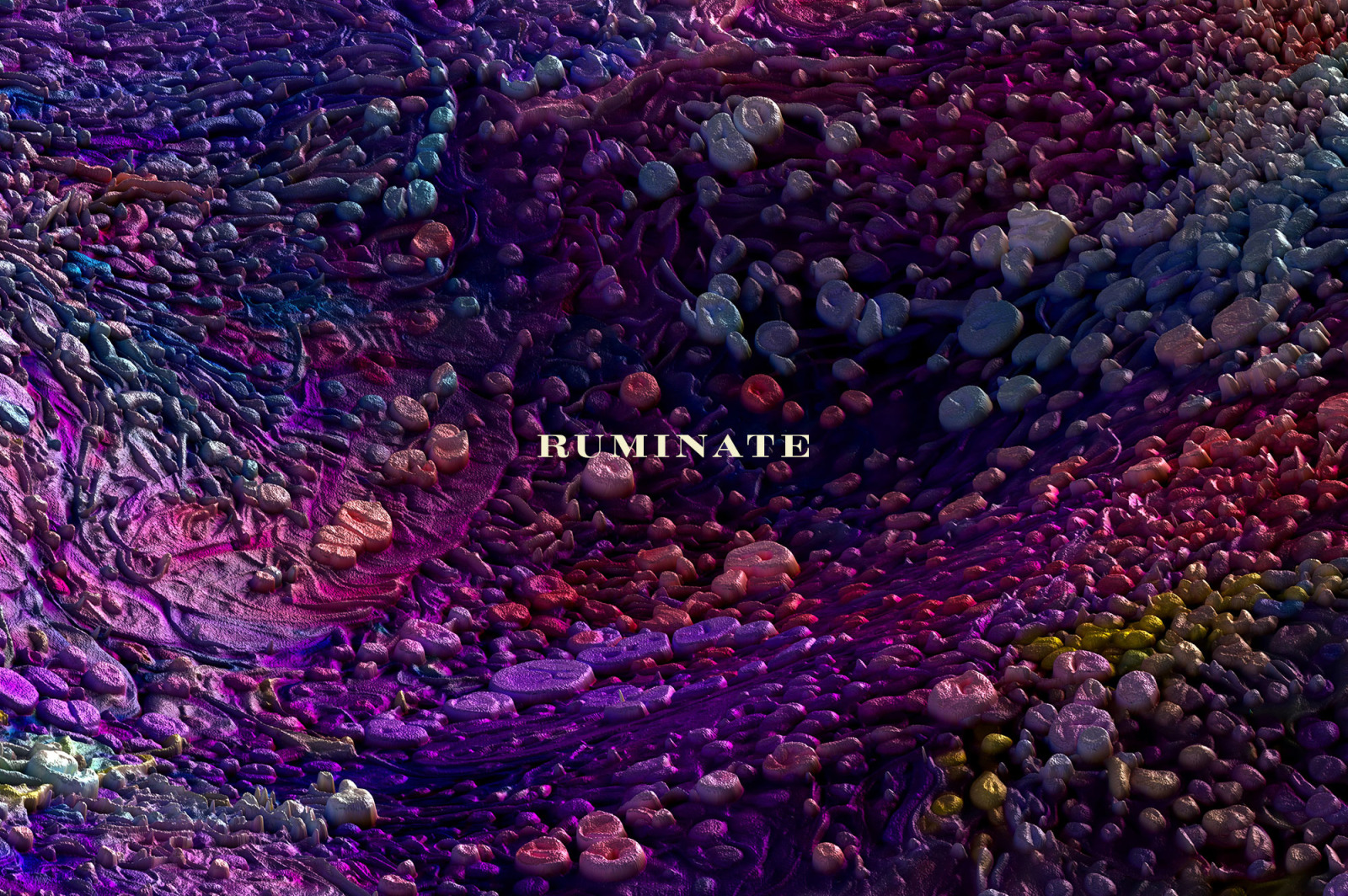 Ruminate: Experimental 3D Paint Textures Ruminate: Experimental 3D Paint Textures