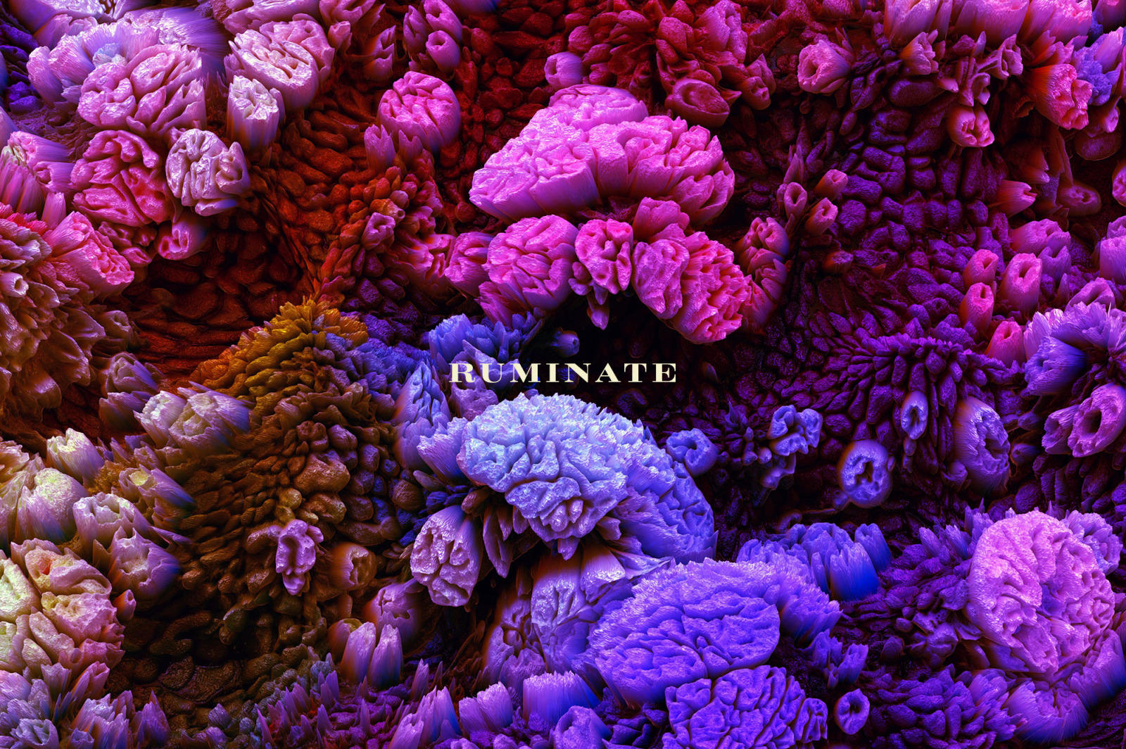 Ruminate: Experimental 3D Paint Textures Ruminate: Experimental 3D Paint Textures