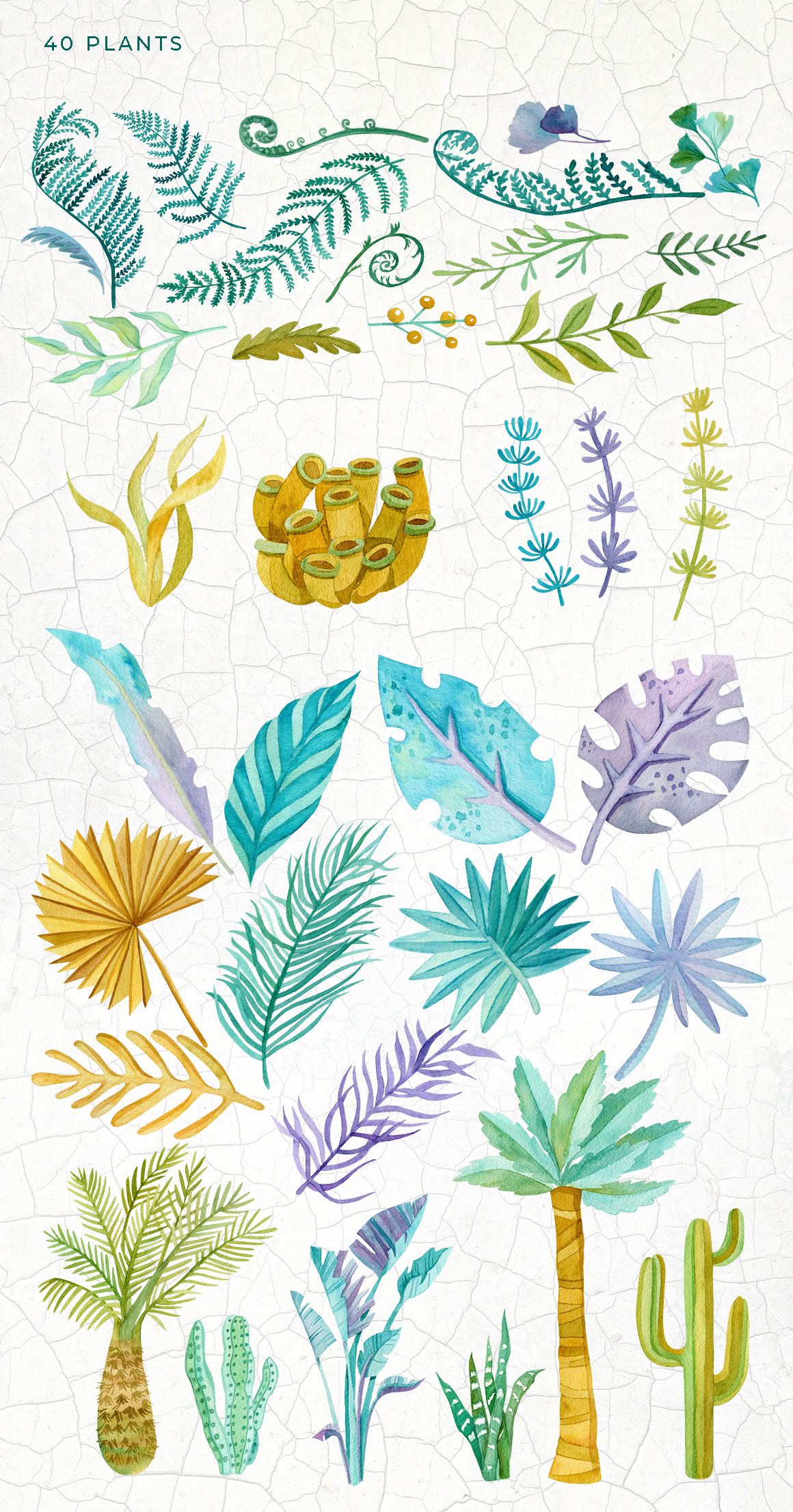 Dinosaur Watercolor Collection Dinosaur Watercolor Collection