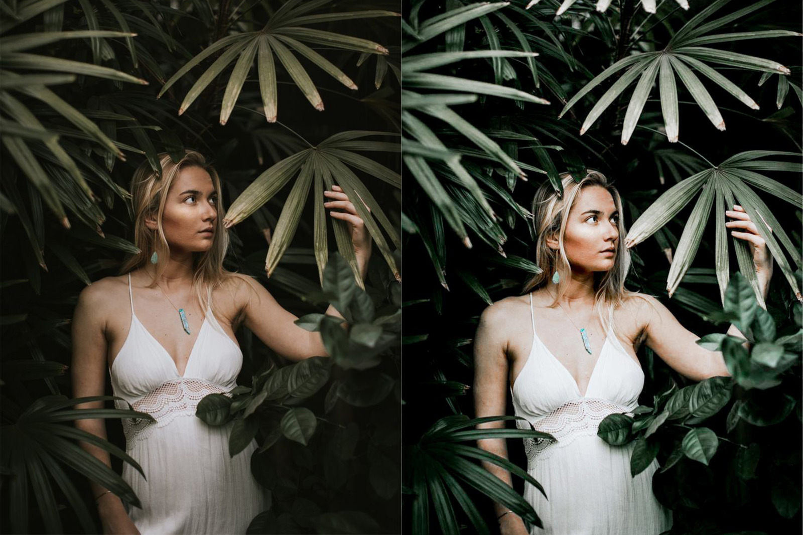 Tropical Rain Mobile & Desktop Presets | Summer Ligthroom Presets Tropical Rain Mobile & Desktop Presets | Summer Ligthroom Presets