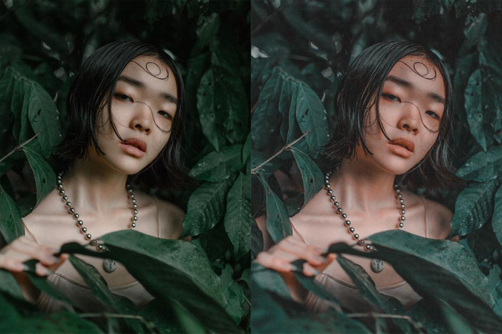 Tropical Rain Mobile & Desktop Presets | Summer Ligthroom Presets Tropical Rain Mobile & Desktop Presets | Summer Ligthroom Presets