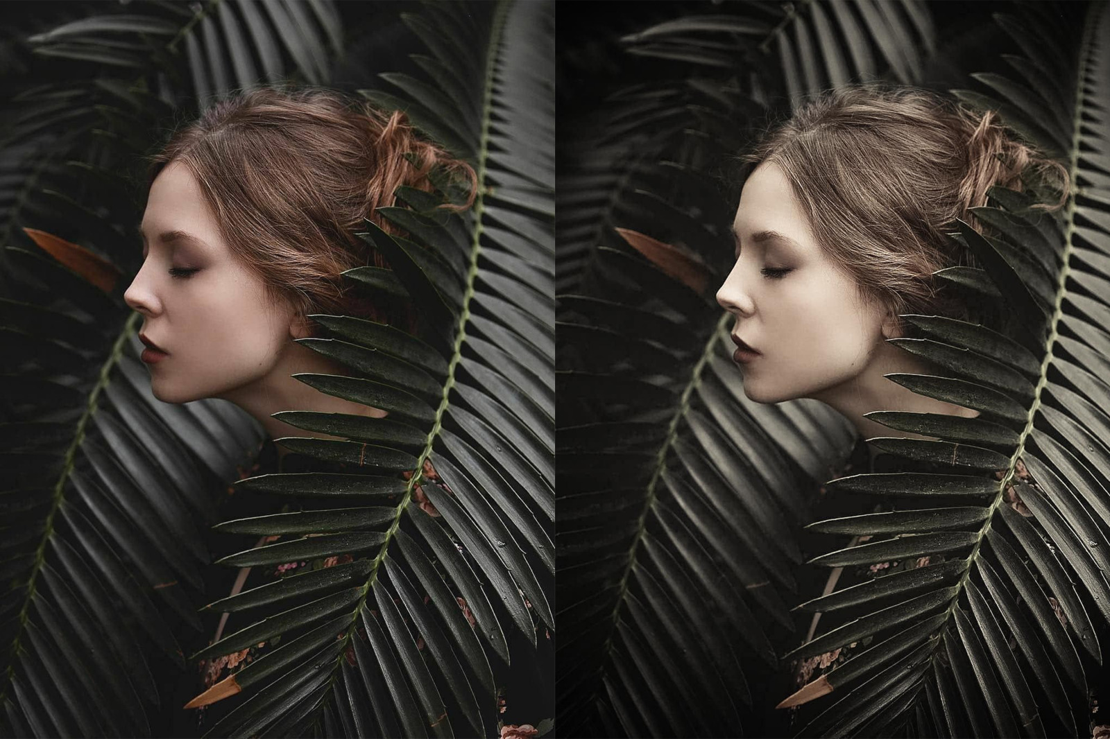 Tropical Rain Mobile & Desktop Presets | Summer Ligthroom Presets Tropical Rain Mobile & Desktop Presets | Summer Ligthroom Presets