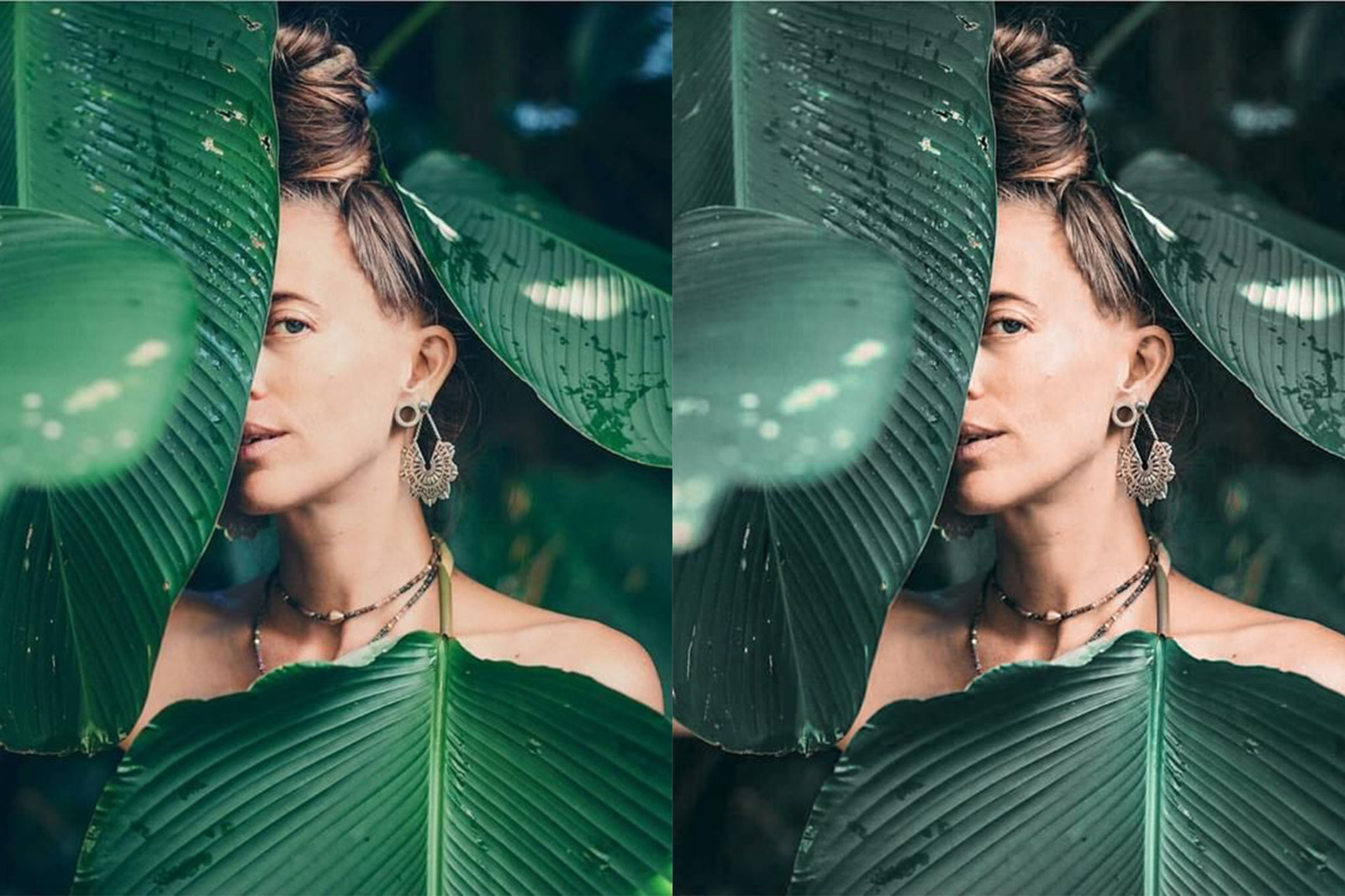 Tropical Rain Mobile & Desktop Presets | Summer Ligthroom Presets Tropical Rain Mobile & Desktop Presets | Summer Ligthroom Presets