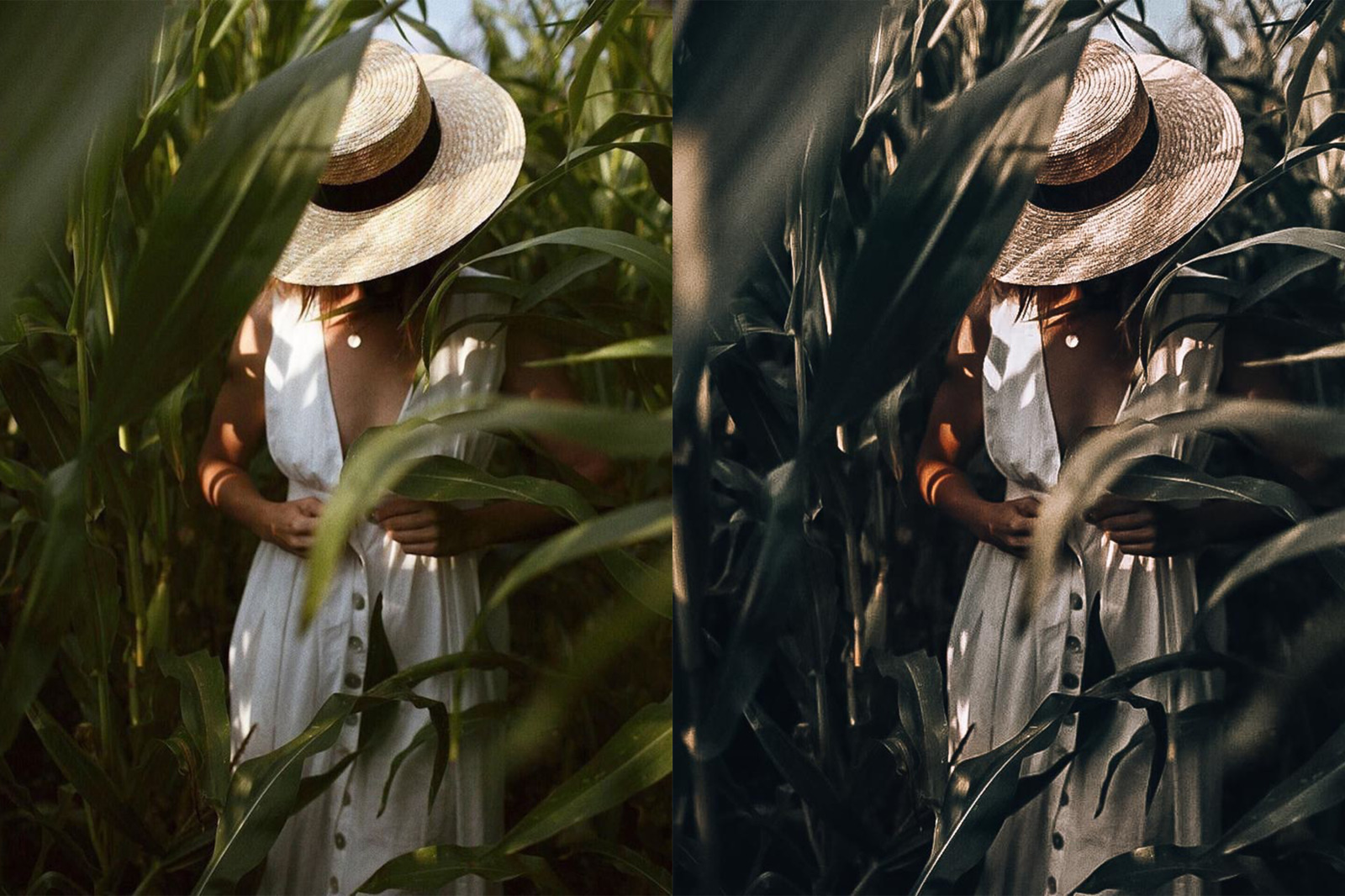Tropical Rain Mobile & Desktop Presets | Summer Ligthroom Presets Tropical Rain Mobile & Desktop Presets | Summer Ligthroom Presets
