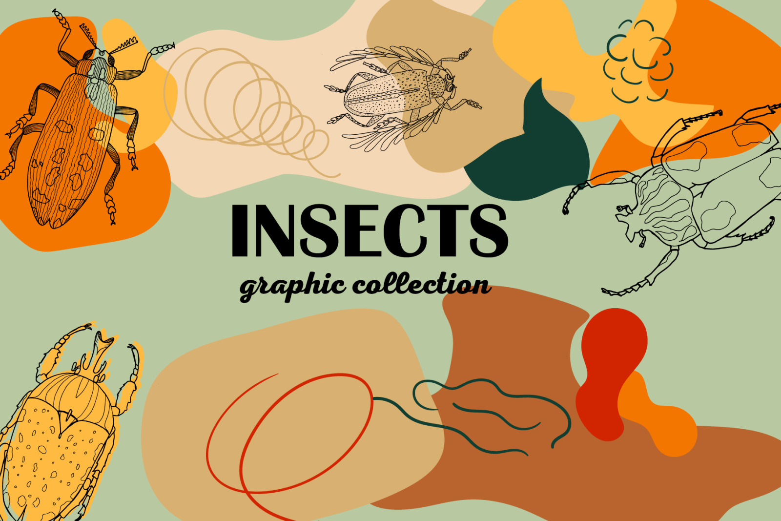 Insects. Graphic collection.