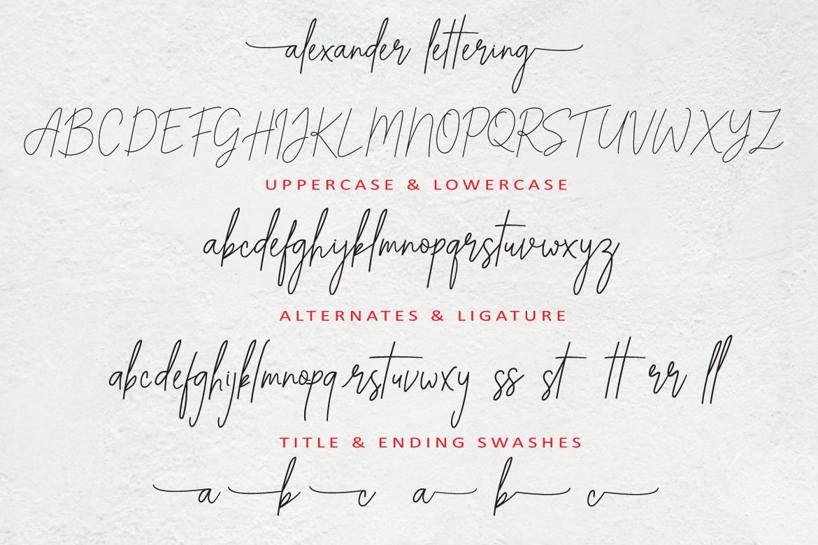 ALEXANDER LETTERING | classy font