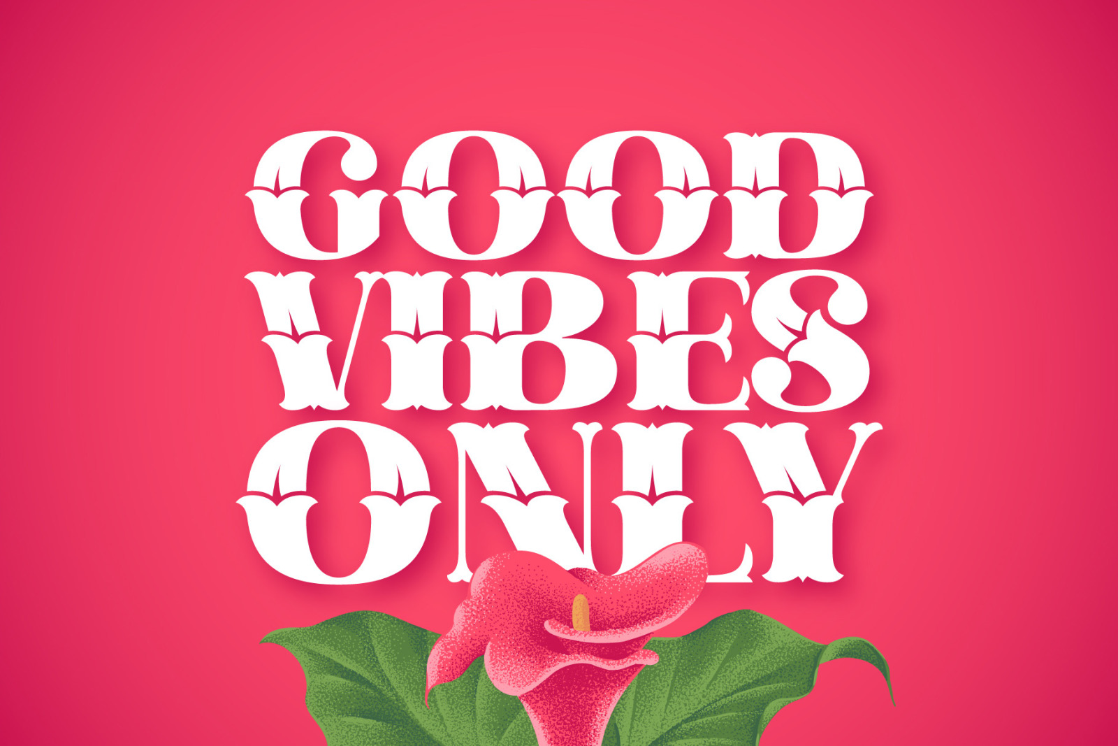 Cally Font & Graphics Cally Font & Graphics