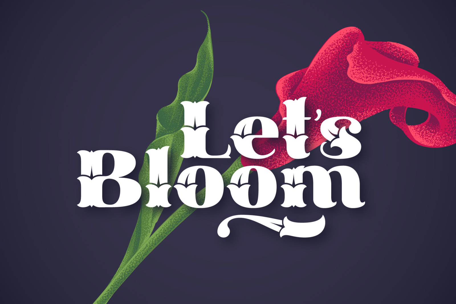 Cally Font & Graphics Cally Font & Graphics