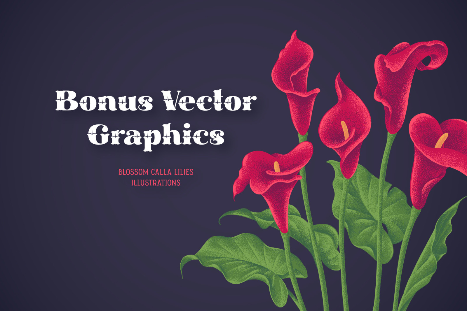 Cally Font & Graphics Cally Font & Graphics