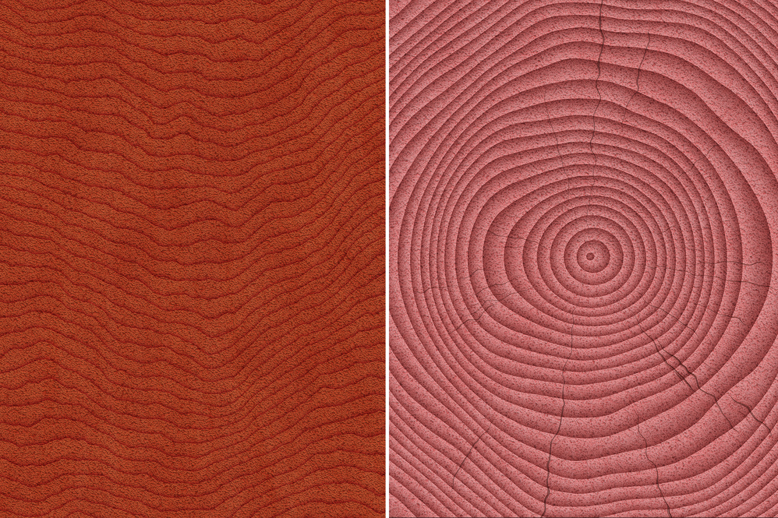 10 Wood Saw Cut Background Textures 10 Wood Saw Cut Background Textures