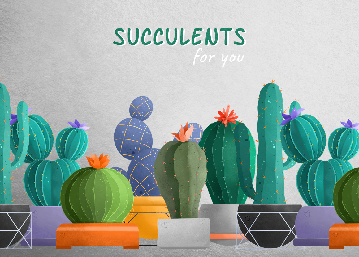 Set of Succulents Set of Succulents