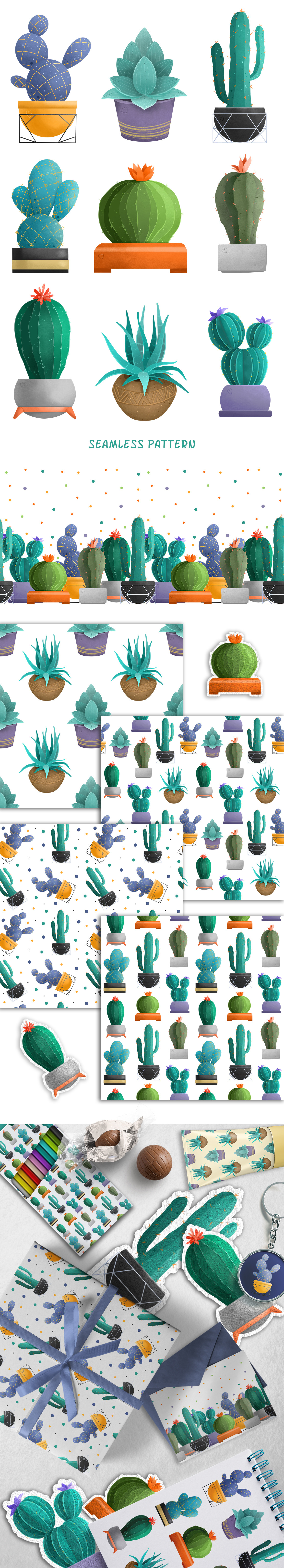 Set of Succulents Set of Succulents