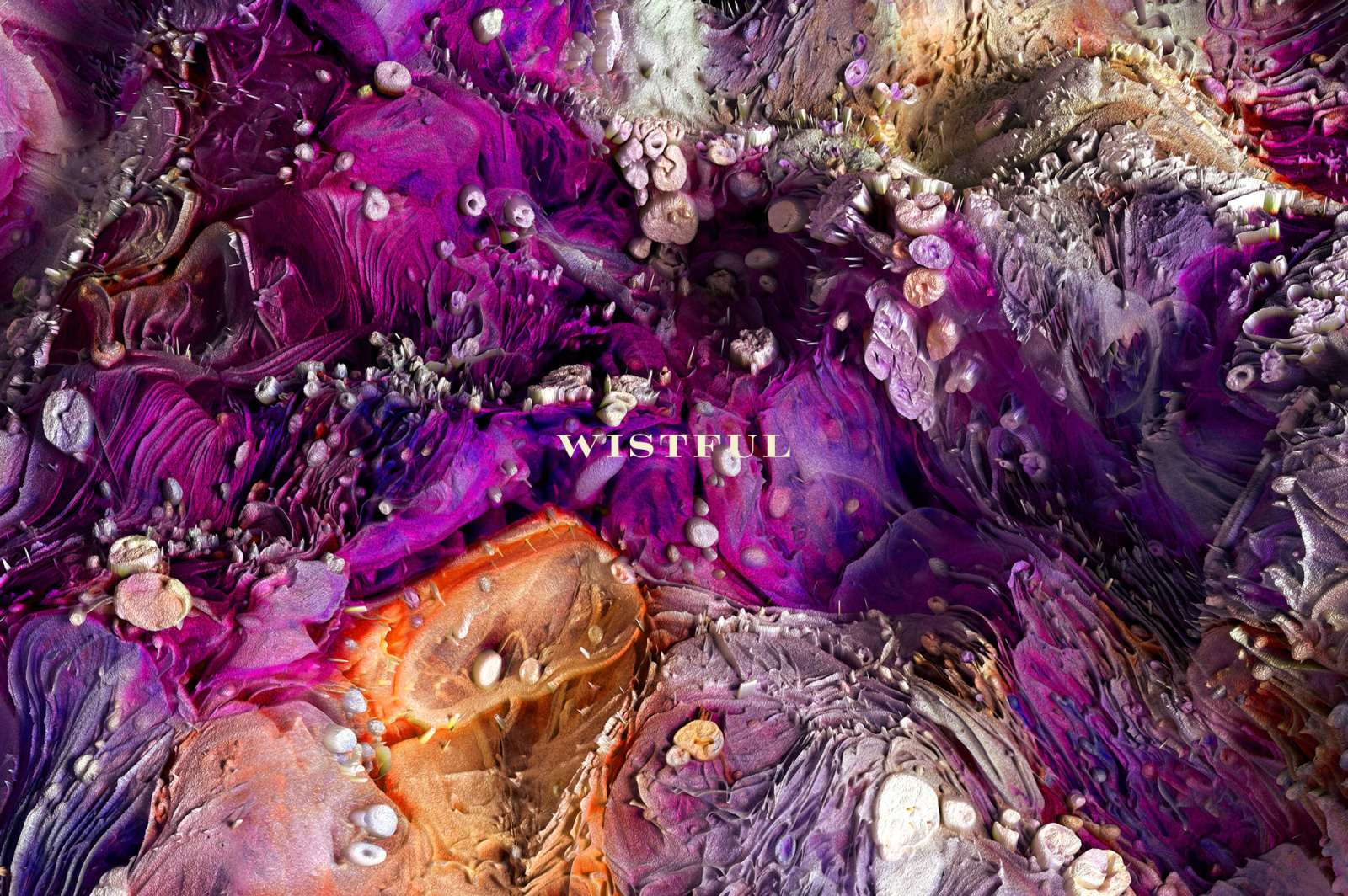 Wistful: Experimental 3D Paint Textures Wistful: Experimental 3D Paint Textures